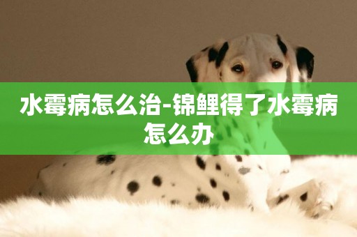 水霉病怎么治-錦鯉得了水霉病怎么辦