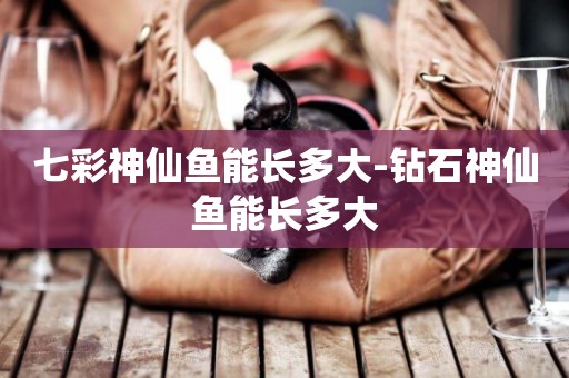 七彩神仙魚能長多大-鉆石神仙魚能長多大