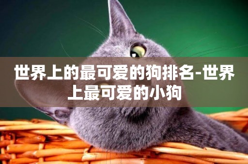 世界上的最可愛的狗排名-世界上最可愛的小狗