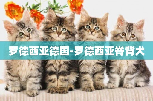 羅德西亞德國-羅德西亞脊背犬