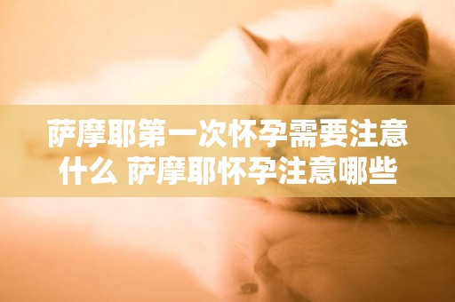 薩摩耶第一次懷孕需要注意什么 薩摩耶懷孕注意哪些變化