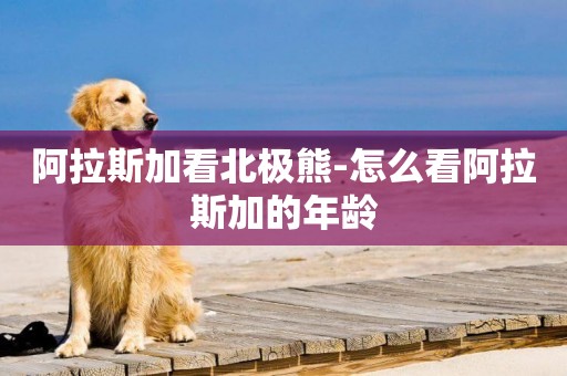 阿拉斯加看北極熊-怎么看阿拉斯加的年齡