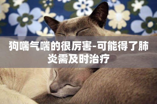 狗喘氣喘的很厲害-可能得了肺炎需及時治療