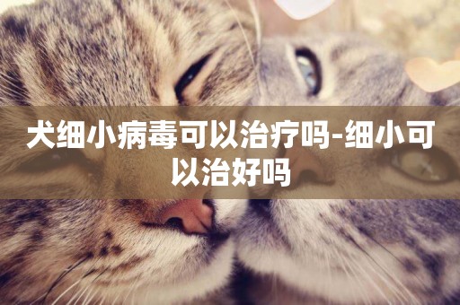 犬細小病毒可以治療嗎-細小可以治好嗎