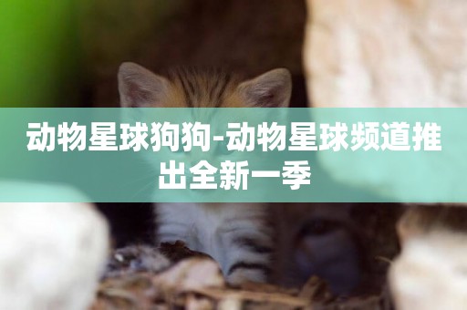 動物星球狗狗-動物星球頻道推出全新一季