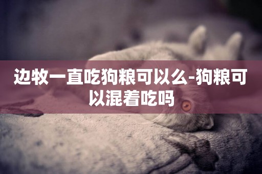邊牧一直吃狗糧可以么-狗糧可以混著吃嗎
