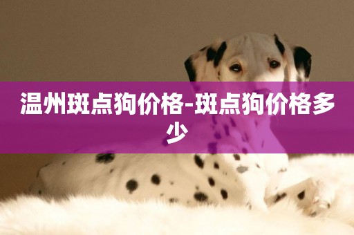 溫州斑點狗價格-斑點狗價格多少
