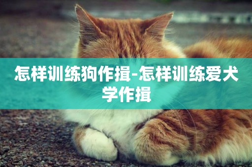 怎樣訓練狗作揖-怎樣訓練愛犬學作揖