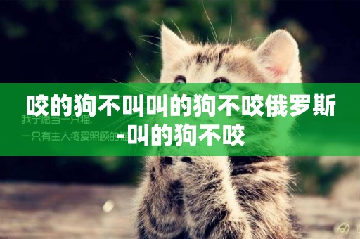 咬的狗不叫叫的狗不咬俄羅斯-叫的狗不咬