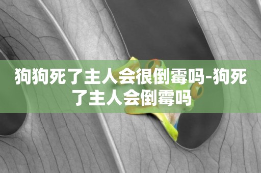 狗狗死了主人會很倒霉嗎-狗死了主人會倒霉嗎
