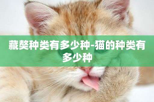 藏獒種類有多少種-貓的種類有多少種