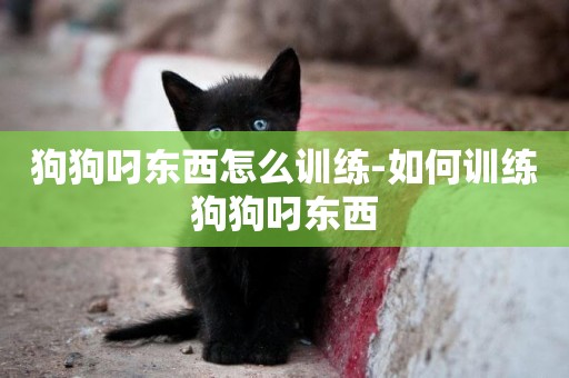 狗狗叼東西怎么訓練-如何訓練狗狗叼東西