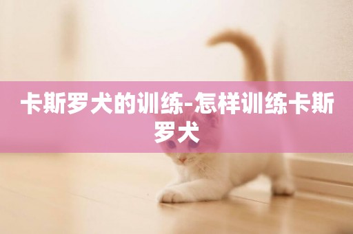 卡斯羅犬的訓練-怎樣訓練卡斯羅犬
