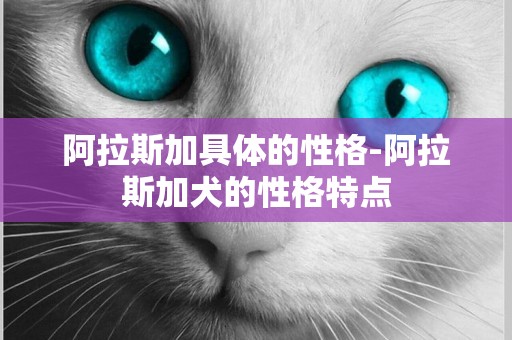 阿拉斯加具體的性格-阿拉斯加犬的性格特點