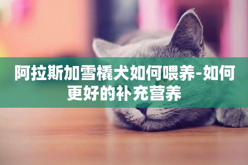 阿拉斯加雪橇犬如何喂養-如何更好的補充營養