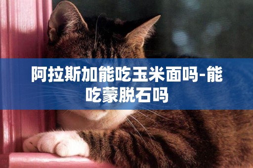 阿拉斯加能吃玉米面嗎-能吃蒙脫石嗎