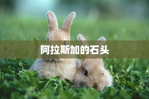 阿拉斯加的石頭