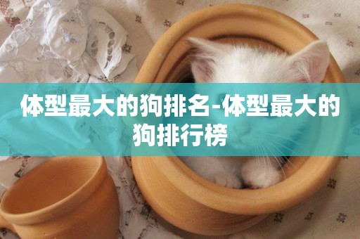 體型最大的狗排名-體型最大的狗排行榜