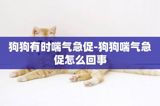 狗狗有時喘氣急促-狗狗喘氣急促怎么回事