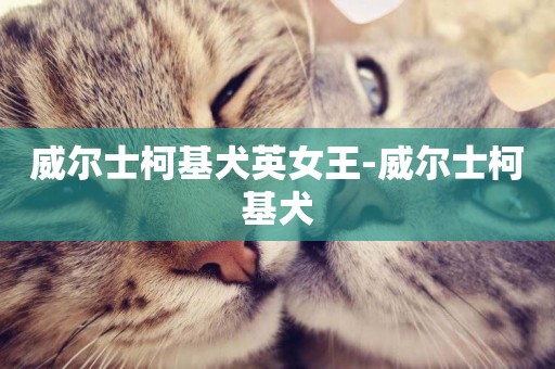 威爾士柯基犬英女王-威爾士柯基犬