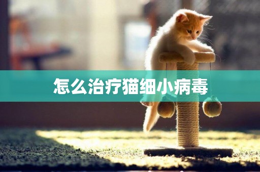 怎么治療貓細小病毒