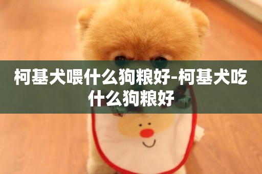 柯基犬喂什么狗糧好-柯基犬吃什么狗糧好