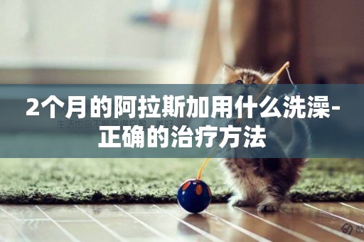 2個月的阿拉斯加用什么洗澡-正確的治療方法