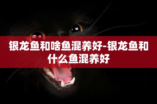 銀龍魚和啥魚混養好-銀龍魚和什么魚混養好