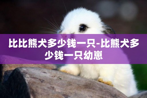 比比熊犬多少錢一只-比熊犬多少錢一只幼崽