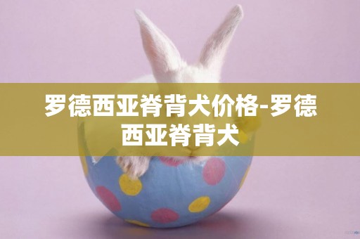 羅德西亞脊背犬價格-羅德西亞脊背犬