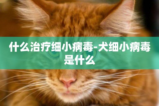 什么治療細小病毒-犬細小病毒是什么