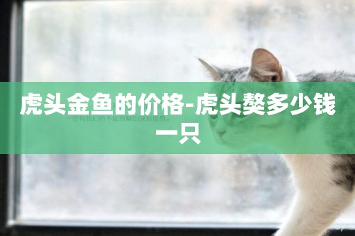 虎頭金魚的價格-虎頭獒多少錢一只