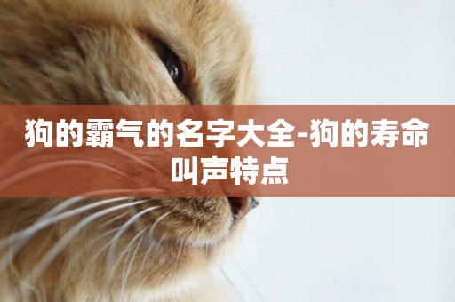 狗的霸氣的名字大全-狗的壽命叫聲特點