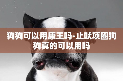 狗狗可以用康王嗎-止吠項圈狗狗真的可以用嗎