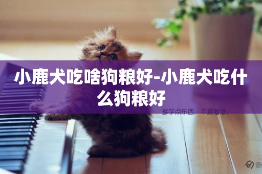 小鹿犬吃啥狗糧好-小鹿犬吃什么狗糧好