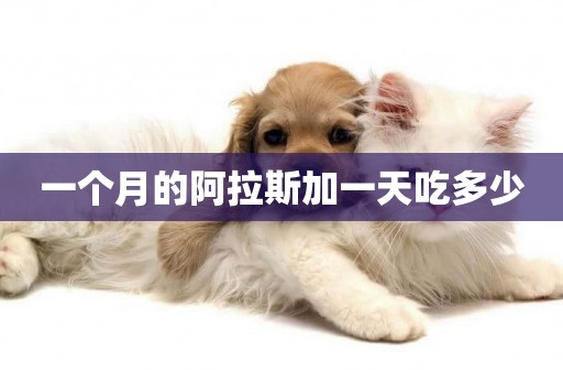 一個月的阿拉斯加一天吃多少