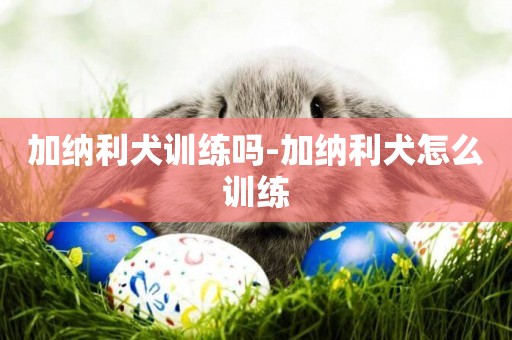 加納利犬訓練嗎-加納利犬怎么訓練
