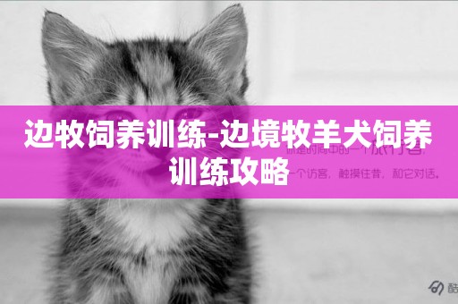 邊牧飼養訓練-邊境牧羊犬飼養訓練攻略