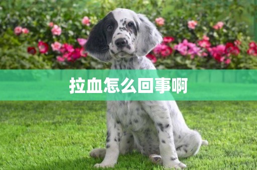 拉血怎么回事啊