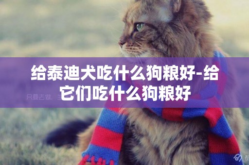 給泰迪犬吃什么狗糧好-給它們吃什么狗糧好