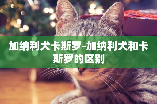 加納利犬卡斯羅-加納利犬和卡斯羅的區別