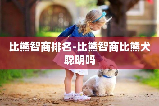 比熊智商排名-比熊智商比熊犬聰明嗎