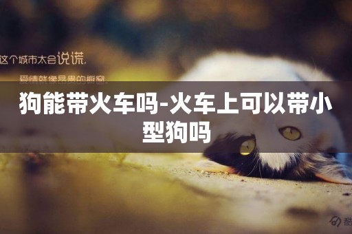 狗能帶火車嗎-火車上可以帶小型狗嗎