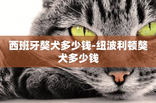 西班牙獒犬多少錢-紐波利頓獒犬多少錢