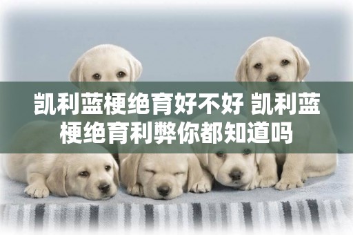 凱利藍梗絕育好不好 凱利藍梗絕育利弊你都知道嗎