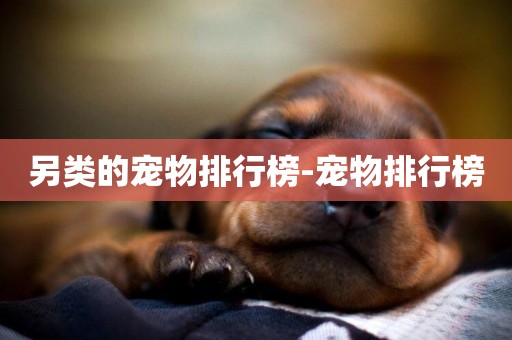 另類的寵物排行榜-寵物排行榜