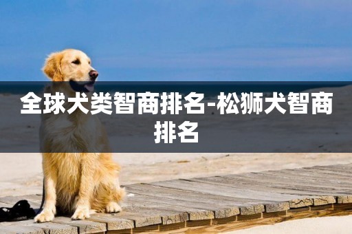 全球犬類智商排名-松獅犬智商排名