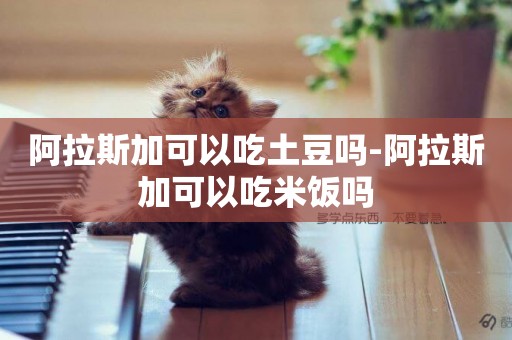 阿拉斯加可以吃土豆嗎-阿拉斯加可以吃米飯嗎