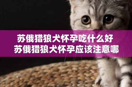 蘇俄獵狼犬懷孕吃什么好 蘇俄獵狼犬懷孕應該注意哪些