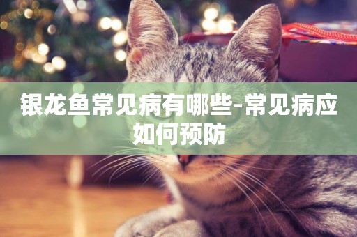 銀龍魚常見病有哪些-常見病應如何預防